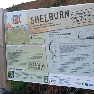 Shelburne